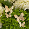 Callie Butterfly Earrings